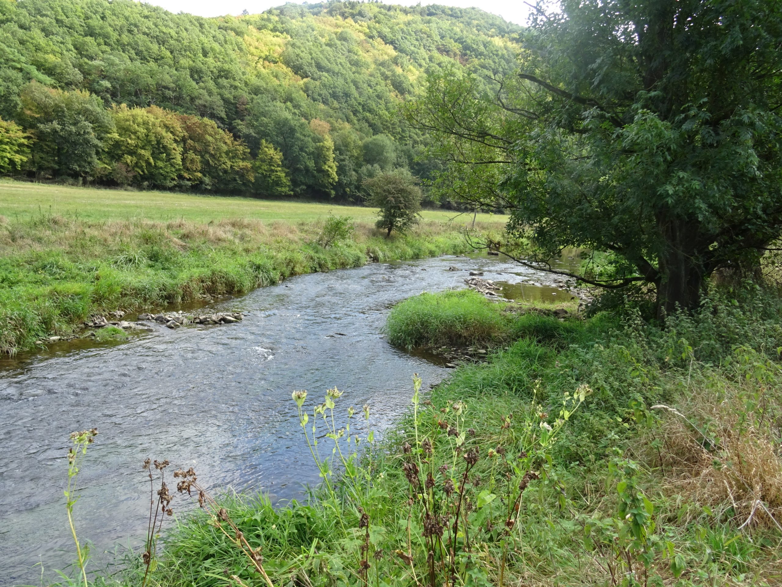 Ahr_LbH | Kreisverwaltung Ahrweiler Ahr am Laufenbacher Hof