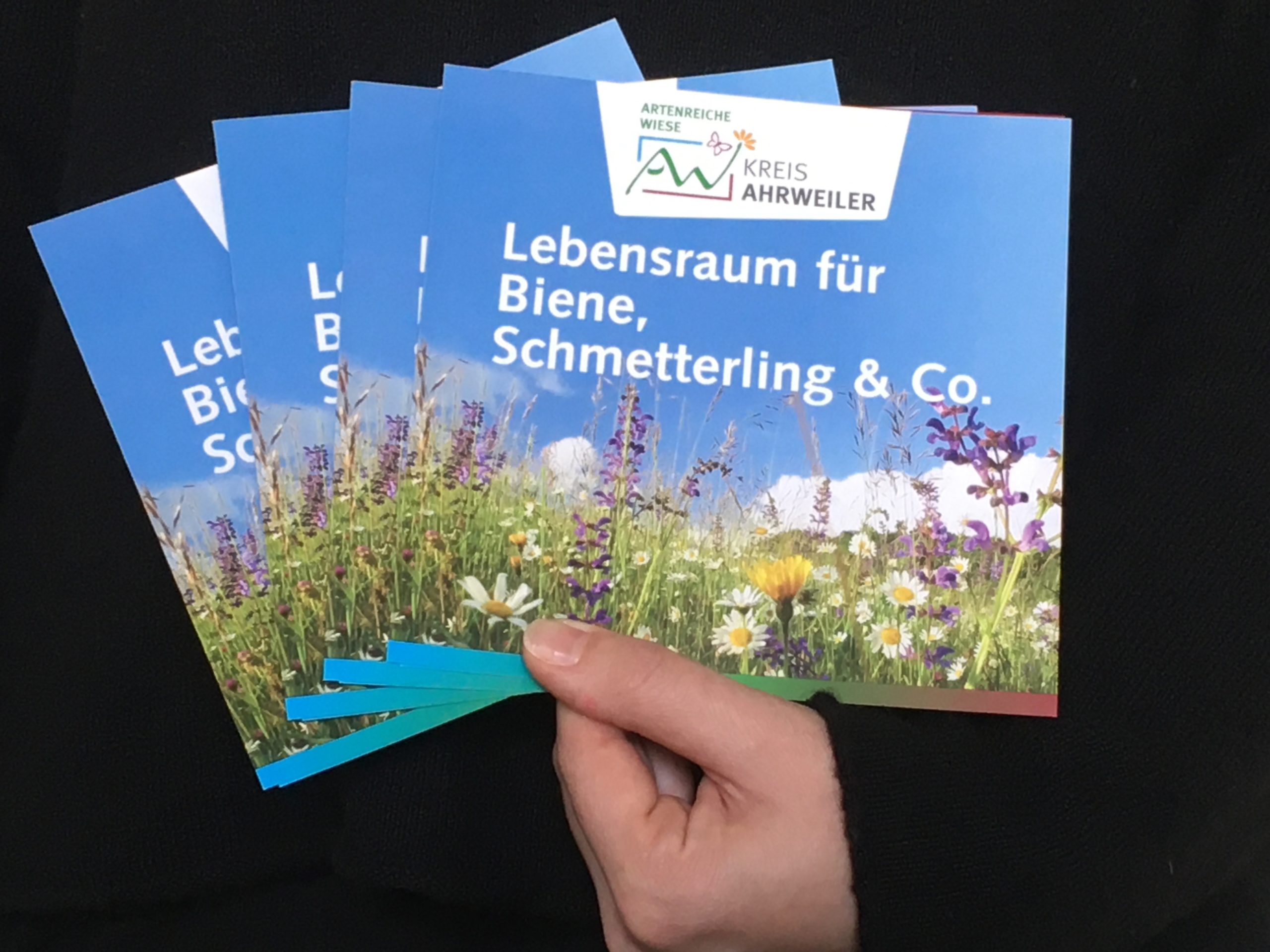 Neuer_Flyer_ArtenreicheWiese_10.12.2020 | Kreisverwaltung Ahrweiler