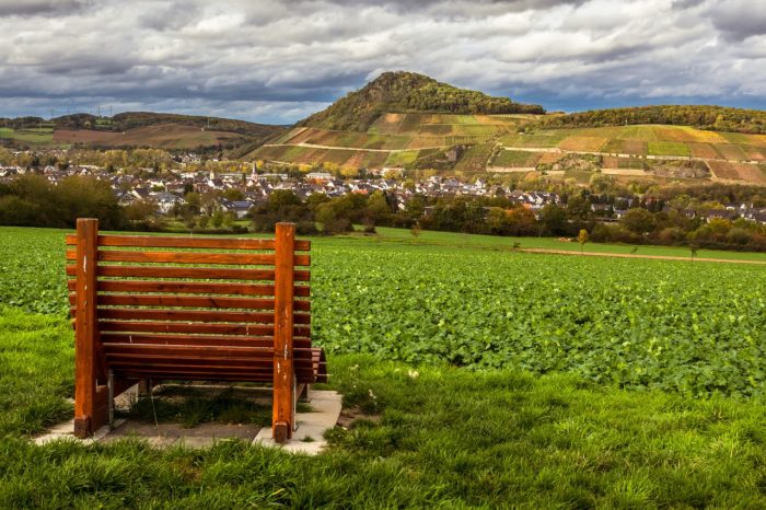 Vacations Recovery Vineyards Relax | Kreisverwaltung Ahrweiler Vacations Recovery Vineyards Relax - Didgeman / Pixabay