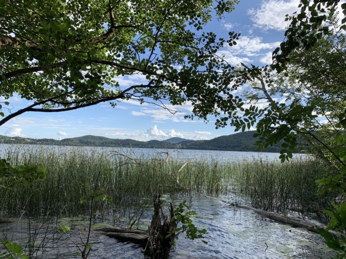LaacherSee_Wasserqualitaet | Kreisverwaltung Ahrweiler